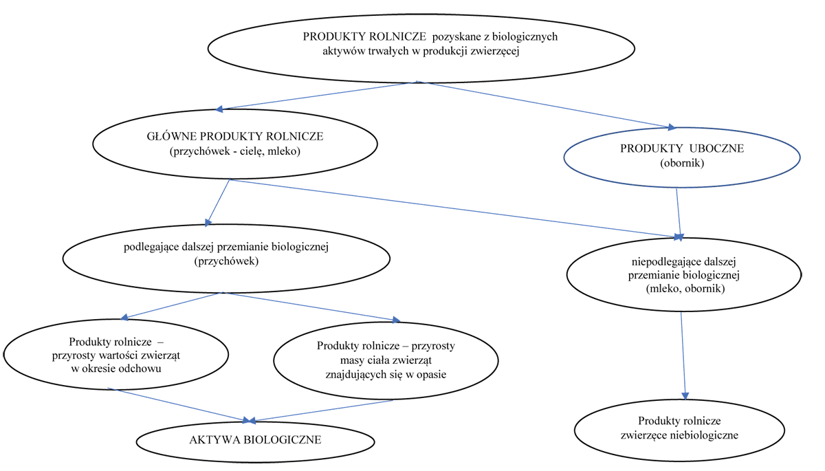 Schemat nr 2  Podzia produktw rolniczych pozyskanych z biologicznych aktyww trwaych (na przykadzie byda)